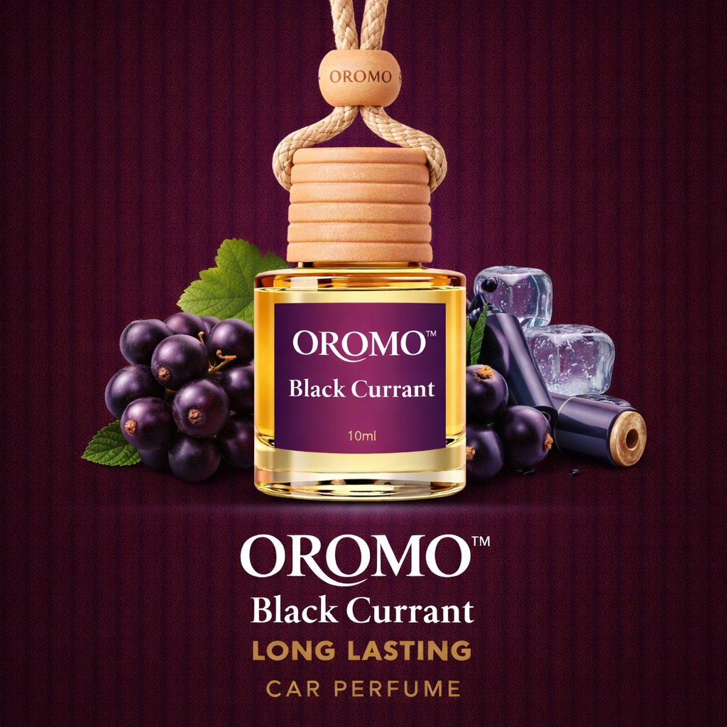 BLACK CURRANT 10ML CAR HANGING DIFFUSER WITH 30ML