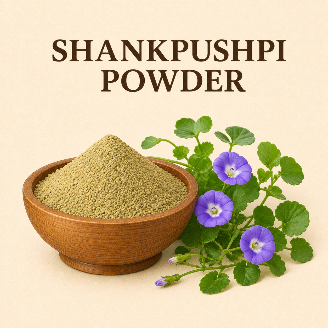 SHANKAPUSHPI POWDER PURE - 1KG